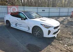 کیا ستینگەر